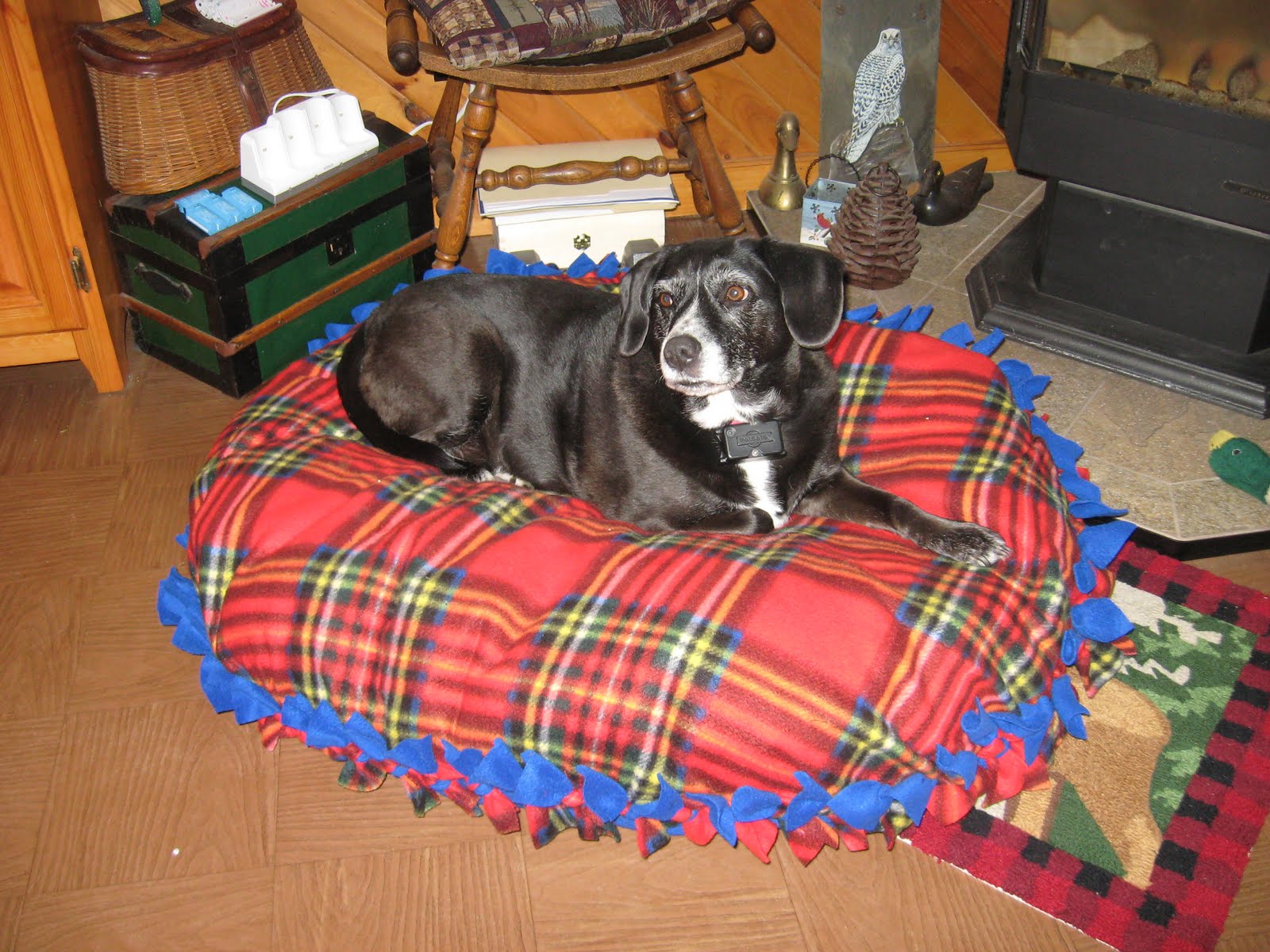 [christmas2009+044.jpg]