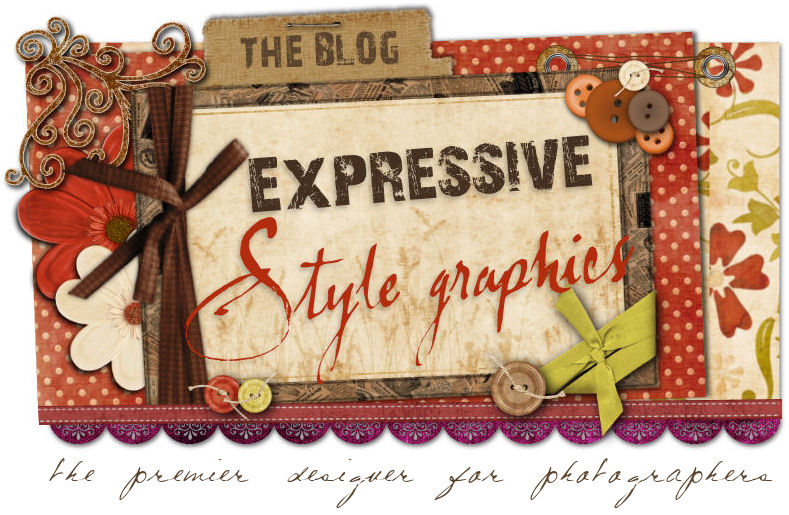 Expressive Style Graphics