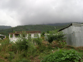 Cloudy view