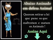 Assine Aqui...