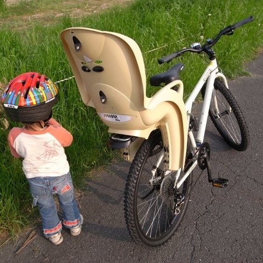 hamax child seat review