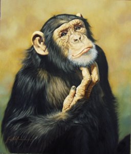 [chimp+thinking.bmp]