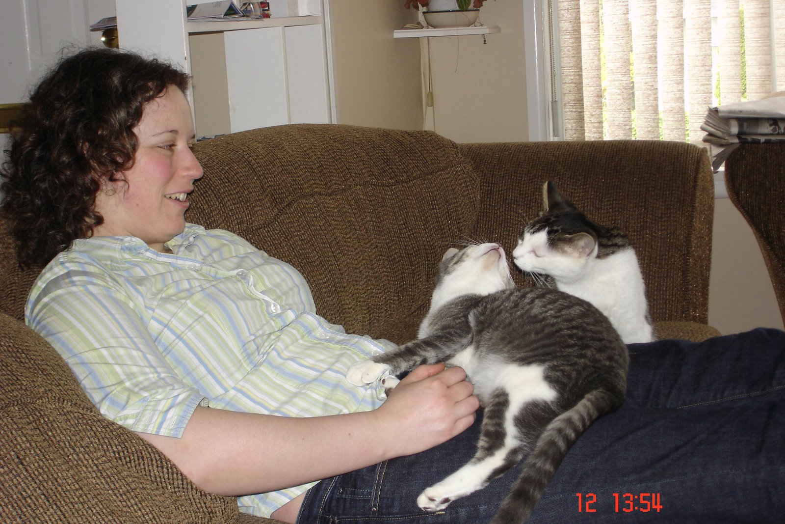 [Kitties+014.jpg]