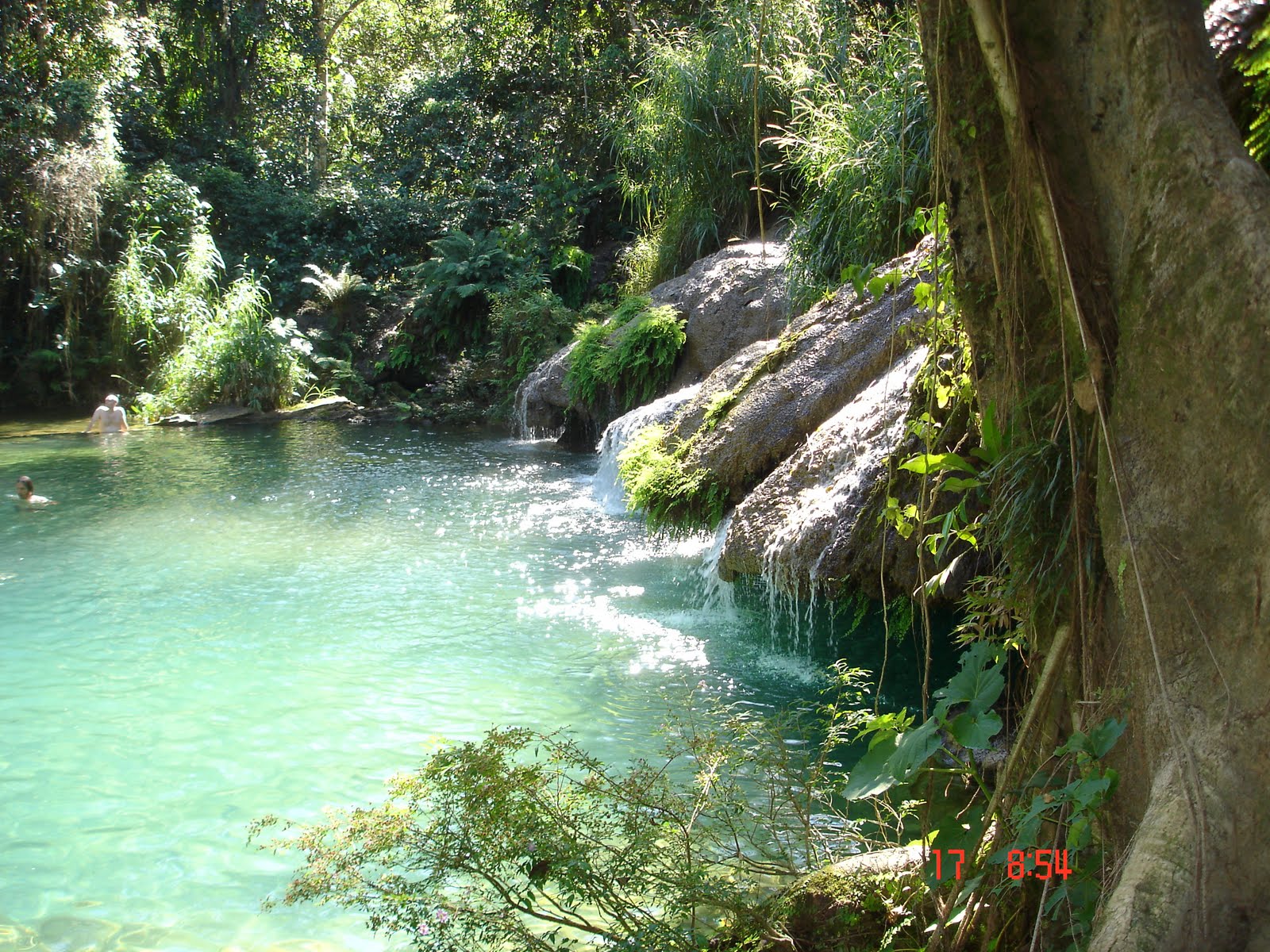 [DSC02111.JPG]