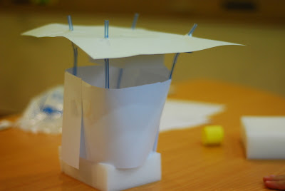 snapshots: The Great Egg Drop Experiment