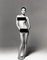 THE Views and News CARLA BRUNI SARKOZY NUDE PIC AUCTIONED FOR $91,000