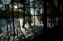 Gazing through the Woods