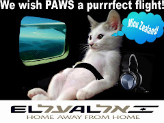 Rachel's in New Zealand now!