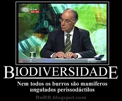 [ruioliveiraecosta.jpg]