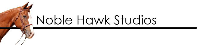 Noble Hawk Studio