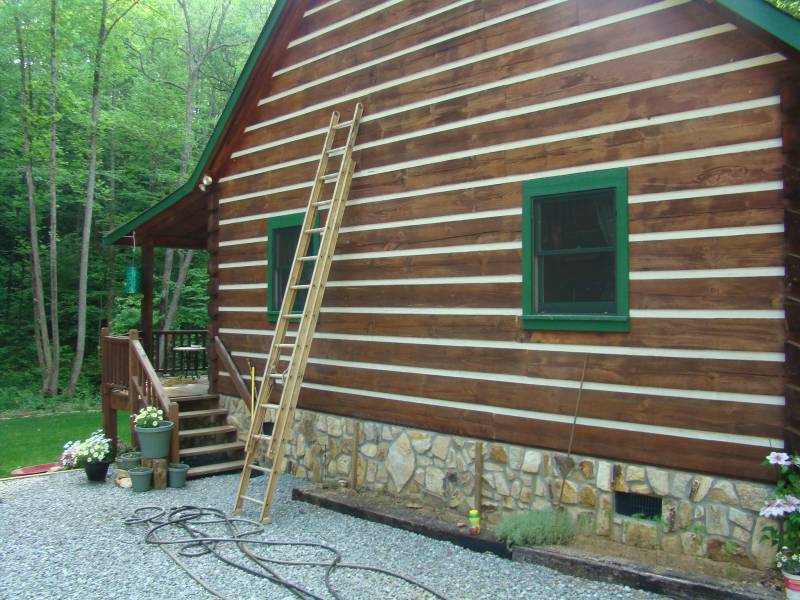 Morning Glories At A Snails Pace