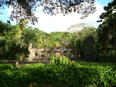 Guedou à la découverte du monde: Le jardin de saint pierre