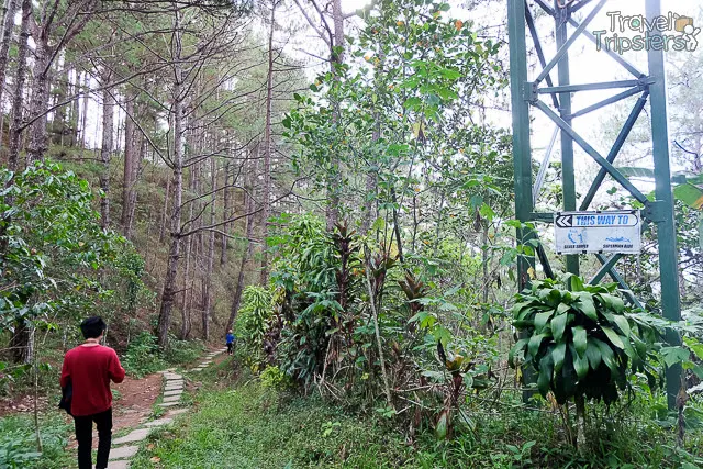 tree top adventure baguio