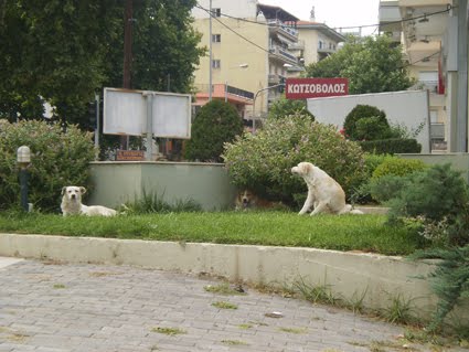 [Ραδιό...ΦΟΝΟ+3.JPG]