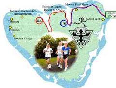 Moorea Full and 1/2 Marathon Map