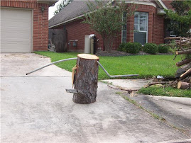 Pole through Tree Trunk