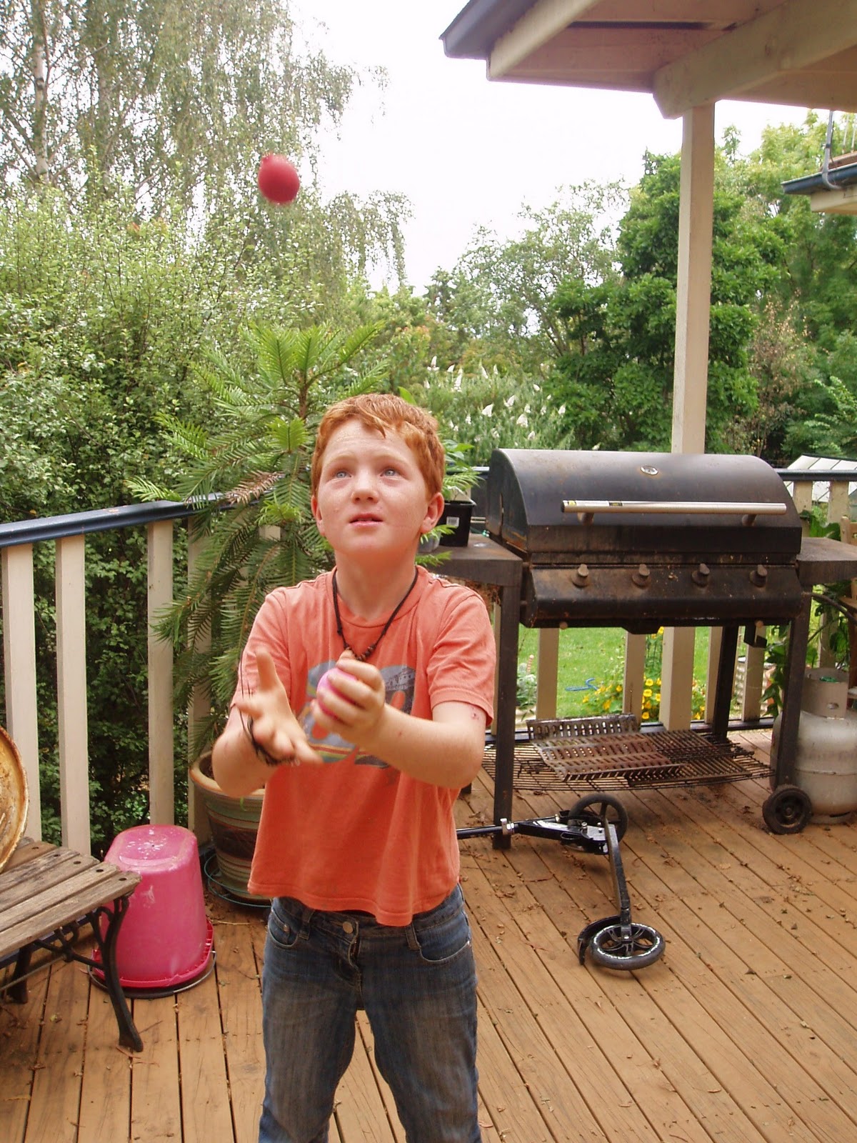 toward sustainability with three kids...... Holiday juggling fun
