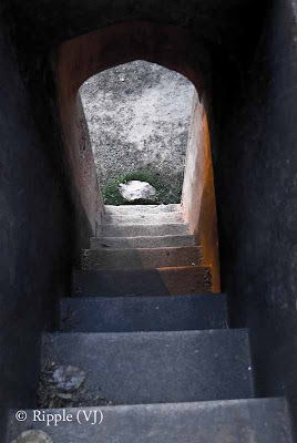 Posted by Ripple (VJ) : A visit to Lodhi Garden, Delhi, INDIA :: Stairs in one of the other tombs in Lodhi-Garden campus.. Know know the exact name...