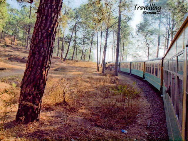 Toy Train experience on Pathankot-Jogindernagar Railway Track in Himachal Pradesh : Posted by VJ SHARMA @ www.travellingcamera.com : I have spent one day in Kalka Shimla Toy train and few days back I had chance to travele in Pathankot-Jogindernagar Toy Train... Here are few photographs of that journey...Pathankot-Jogindernagar Toy Train crossing a bridge near Kangra....The distance of Pathankot from Kangra is 96 kilometers and  Jogindar Nagar from Kangra is 69 kilometers... This toy train takes more time than normal plain area time as it travels at very low speed and as it is a single line so train stops to give passage to trains from other direction. The train passes through valleys, rivers, many beautiful towns and towards the last stretch of the journey having clear view to snow covered Dhauladhar mountain ranges...Narrow track for Pathankot-Jogindernagar Toy Train...Railway Track near Aehju which is a small railway station near to Bir Billing...Railway junction to give pass for other trains coming from other direction... Its single lane and narrow-gauge track...This is of course a different experience as compared to other journeys in  Toy-Trains... If I compare it with Shimla Toy Train, chances of view to snow capped hills is less in case of Kalka-Shimla Toy Train... On this route there are some beautiful tea-gardens... On the other side Shimla-Kalka toy trains passes through various tunnels which is altogether a different experience...More details about trains on this route are available @ http://www.himachalpradesh.us/himachal/himachal_train2.php : I recommend reconfirming these details from IRCTC always... I have seen changes in schedule many times....As the train moves upward and this journey becomes more scenic with a distance view of snow capped Dhauladhar mountains..... Rivers become narrower with deep blue water and the train starts taking curves on hieghts... There are few tunnels in this track in comparison to Kalka-Shimla route...Toy Train passing through Pine Forests.. 