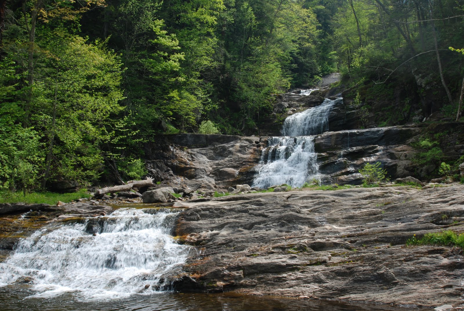 this little piglet The Inn at Kent Falls in Litchfield County, CT