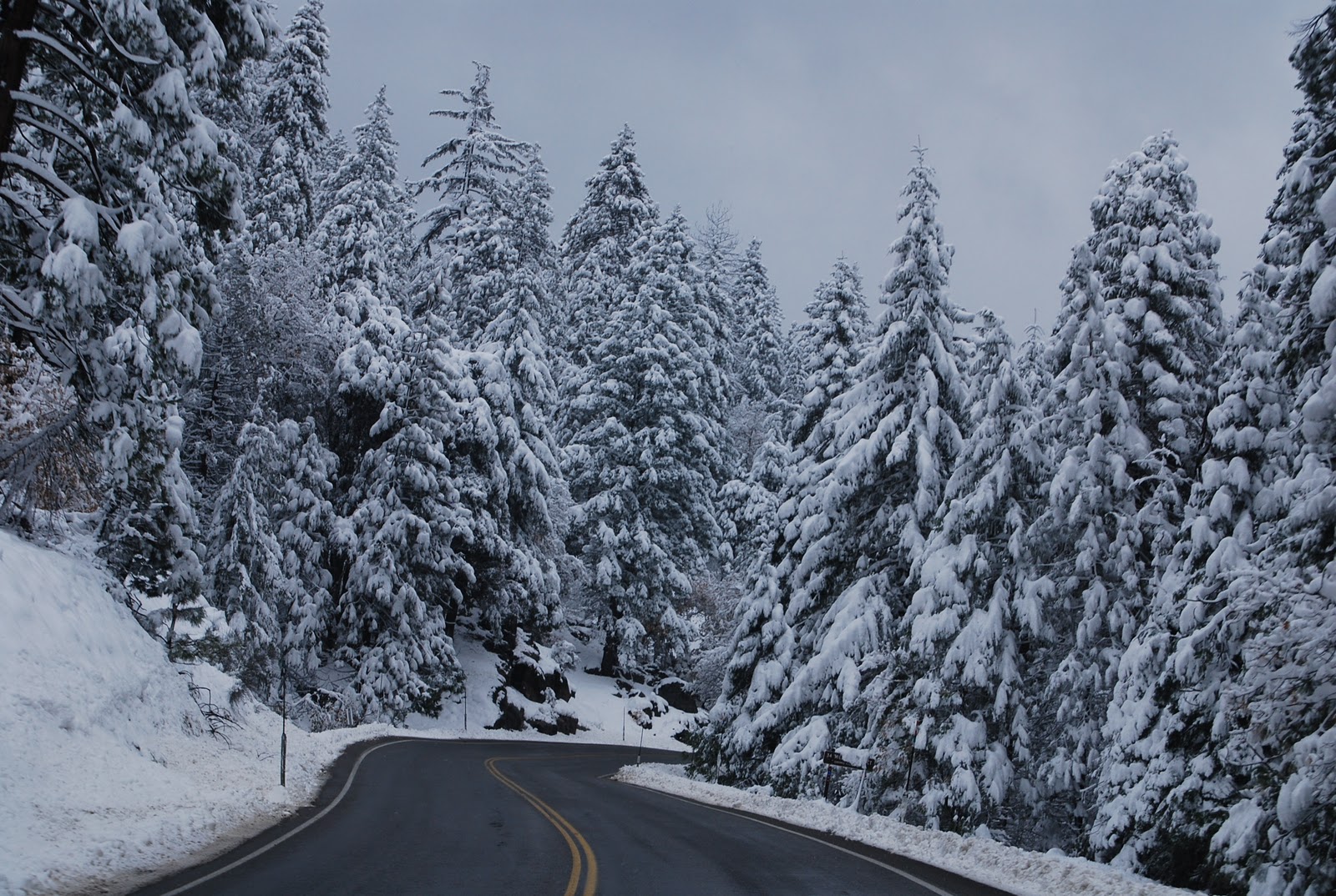 Mumzie's Country Place South Lake Tahoe Snow Storm