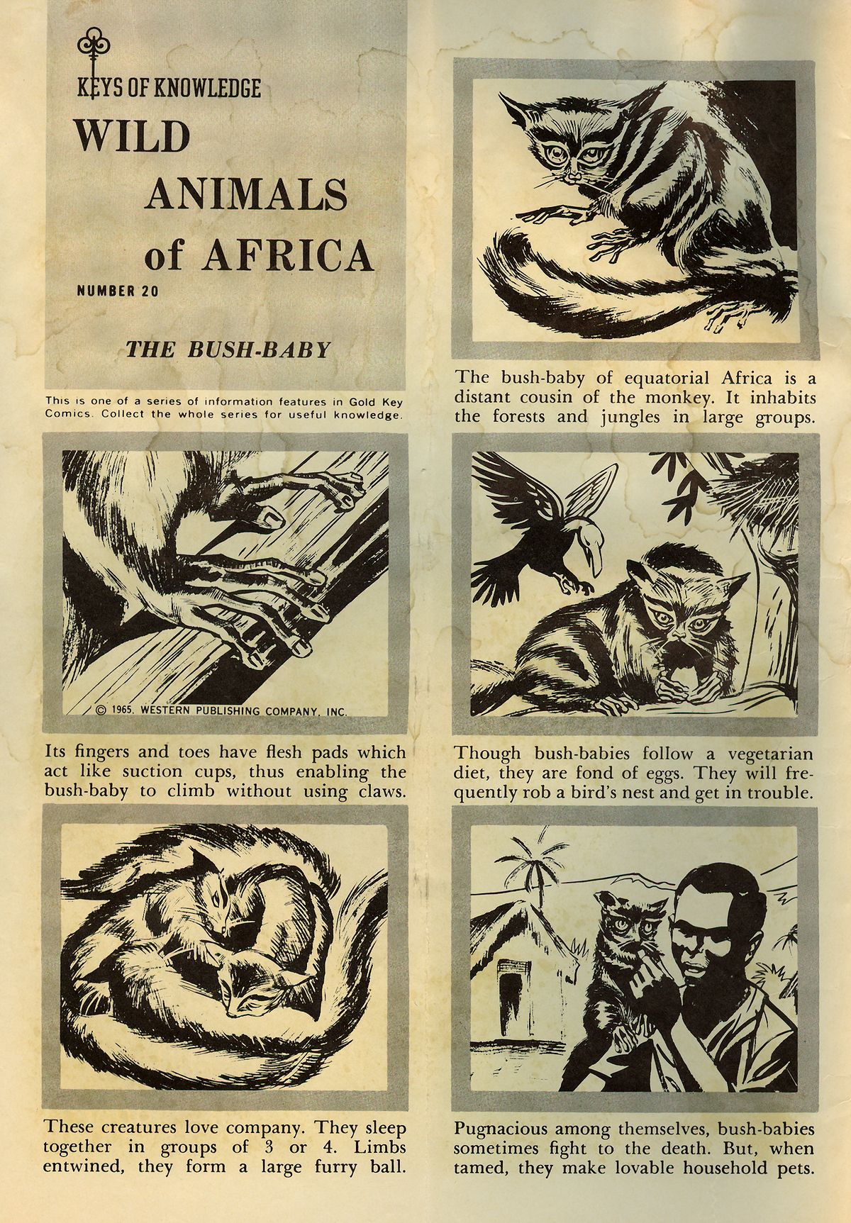 Read online Boris Karloff Tales of Mystery comic -  Issue #12 - 2