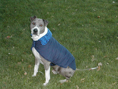 Blue Dog's new winter coat