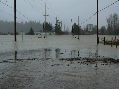grays harbor county flood waters jan 2009 fun live