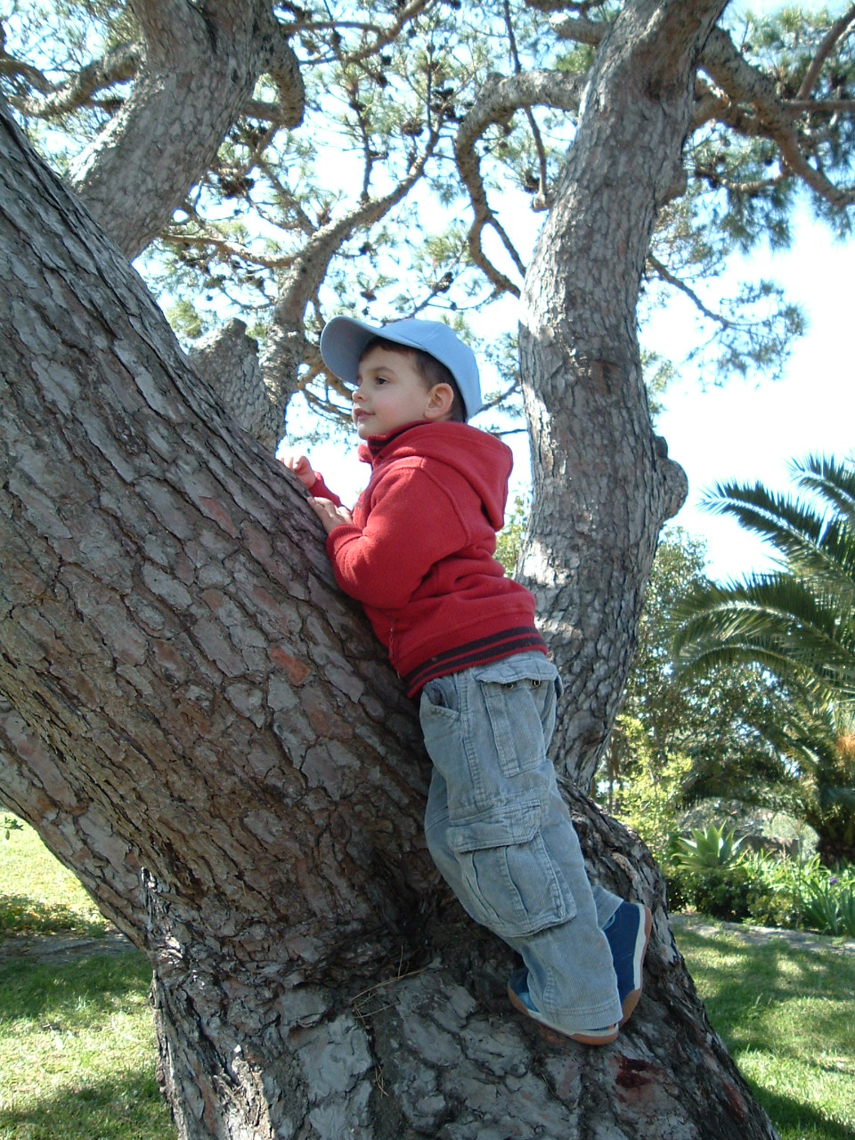 [Mkt_no_pinheiro.JPG]