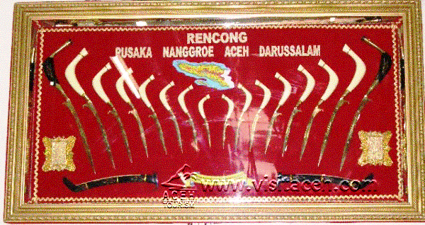 [Rencong++(4).GIF]