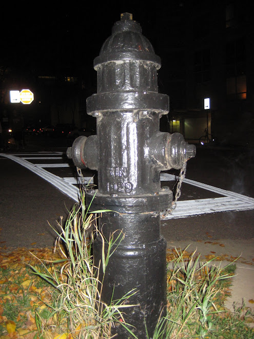 Night Hydrant