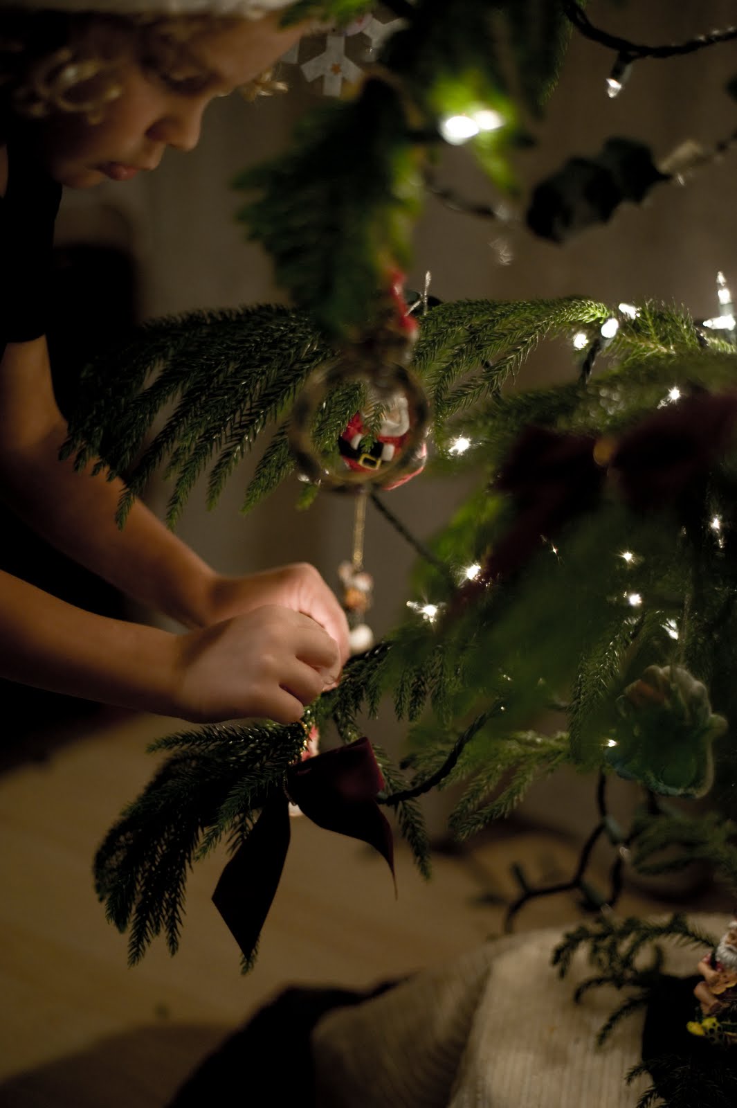 Trish Barker Photography Photography 101 How to get great Christmas