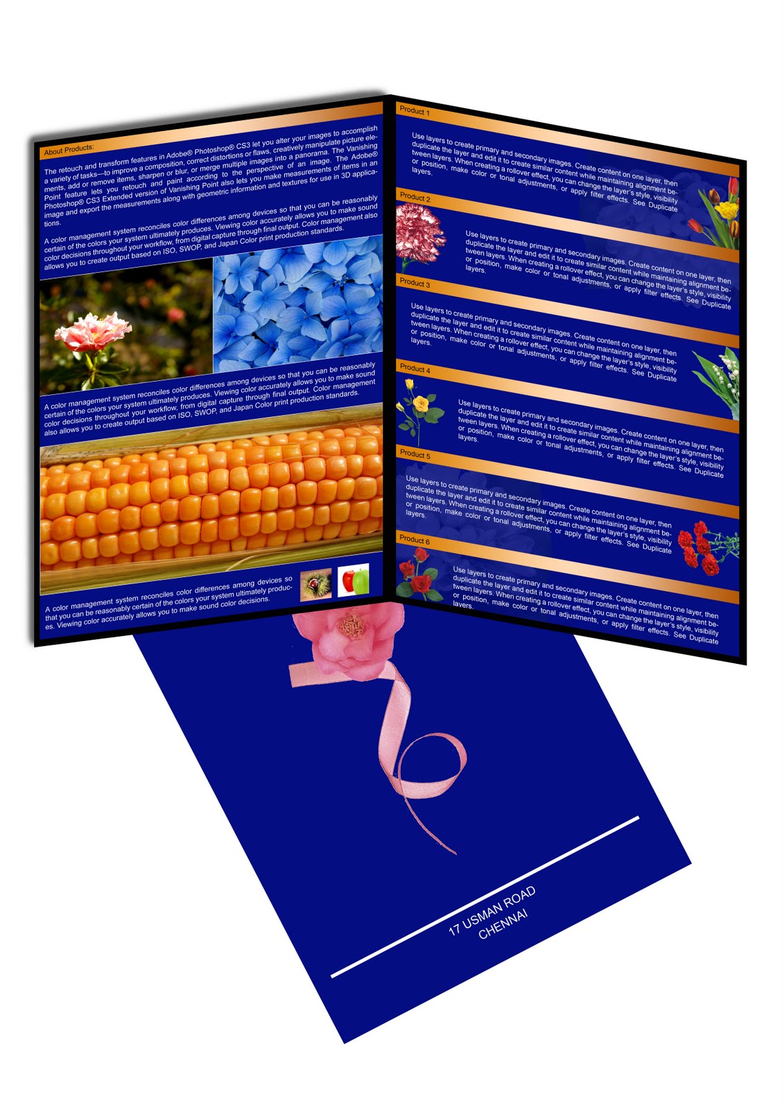 Designing Works: Brochure Design