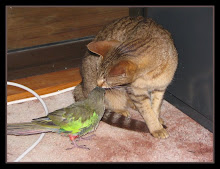 "UNEXPECTED FRIENDS"