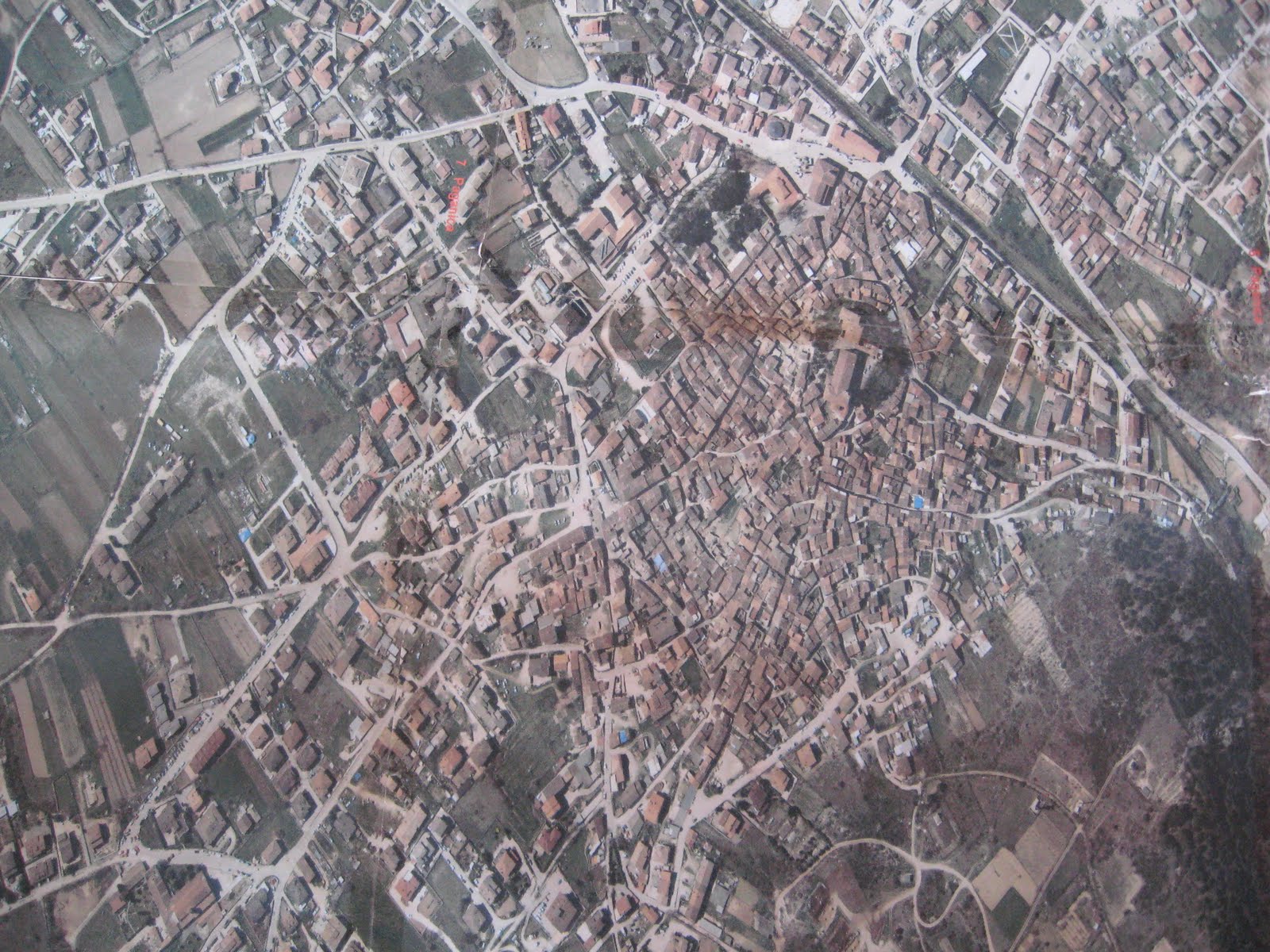 Ordinanza Ministeriale 15 Luglio 1991 N 215