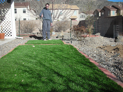 True Products Evergreen Artificial Conifer Hedge Plastic Privacy