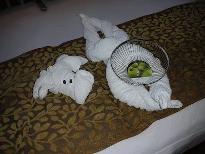 Cruise lines with a fruit bowl in your stateroom
