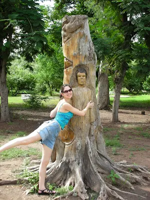 Tree hugger