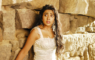 Shriya Hot Image