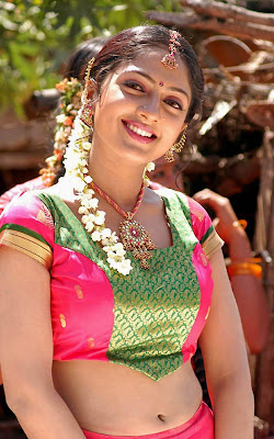 Telugu Actress Sheela Hot   