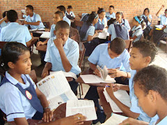 Istitucion Educativa Foco Rojo