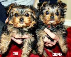 izzy and cooper