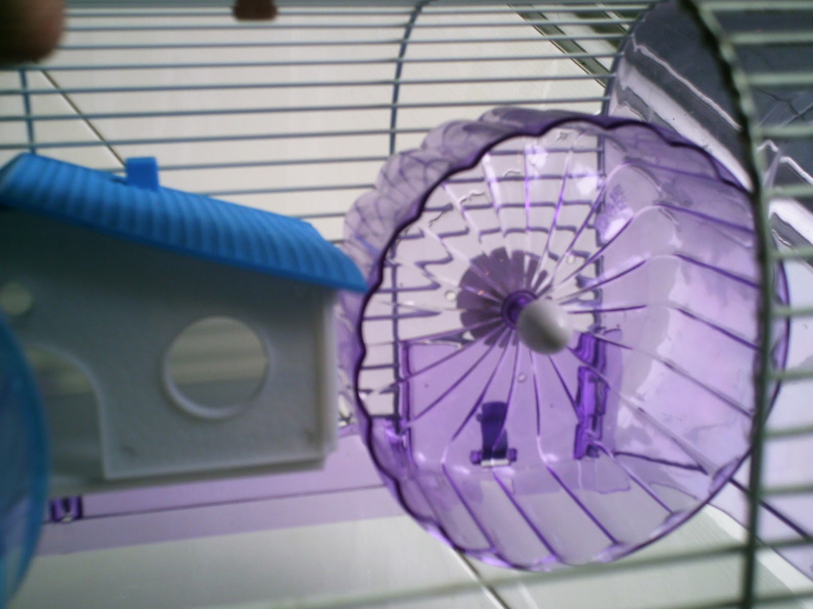 Vintage Finds Vintage Collection Retro Staffs Selling by Owner