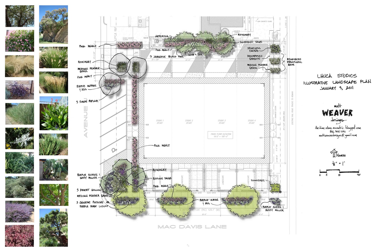 LHUCA Studio Flats Conceptual Planting Plan