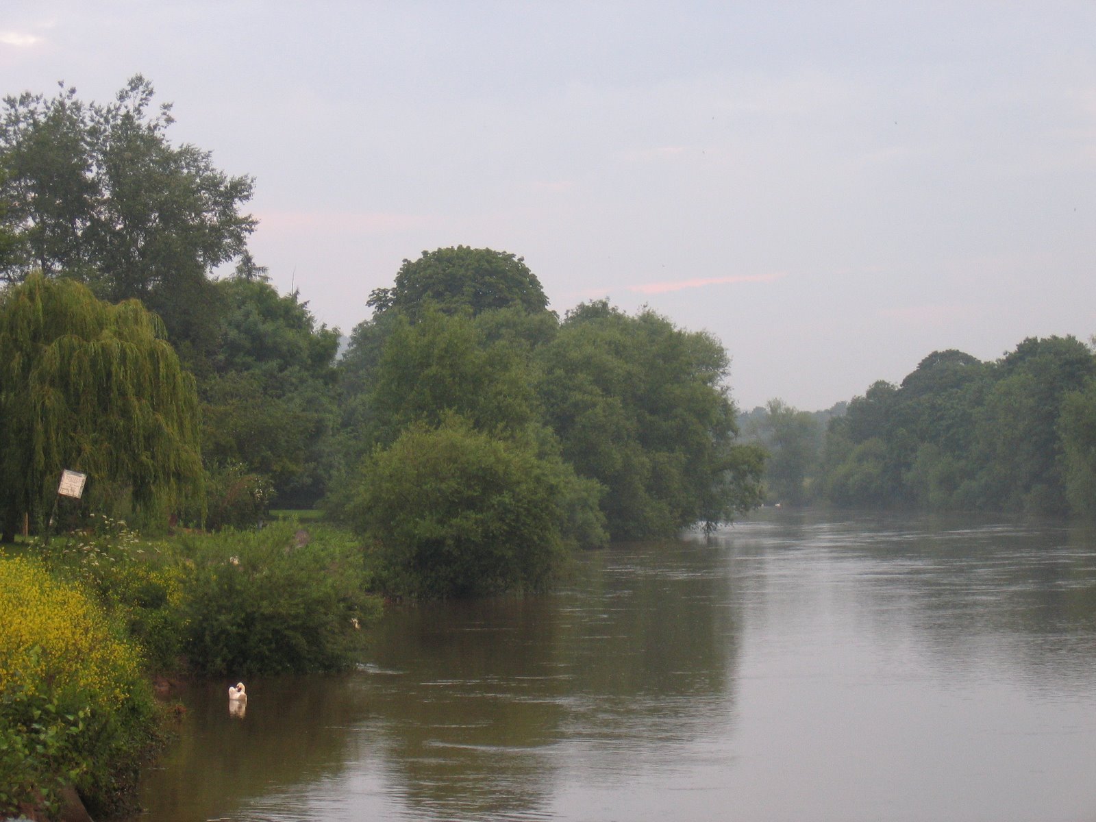 [IMG_1533.JPG]