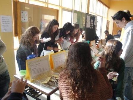 [PlantasMedicinaisDSC00475.JPG]