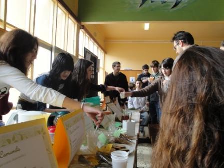 [PlantasMedicinaisDSC00490.JPG]