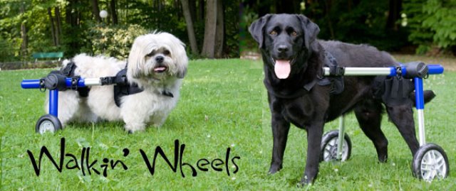 [wheels_for_Chwing.bmp]