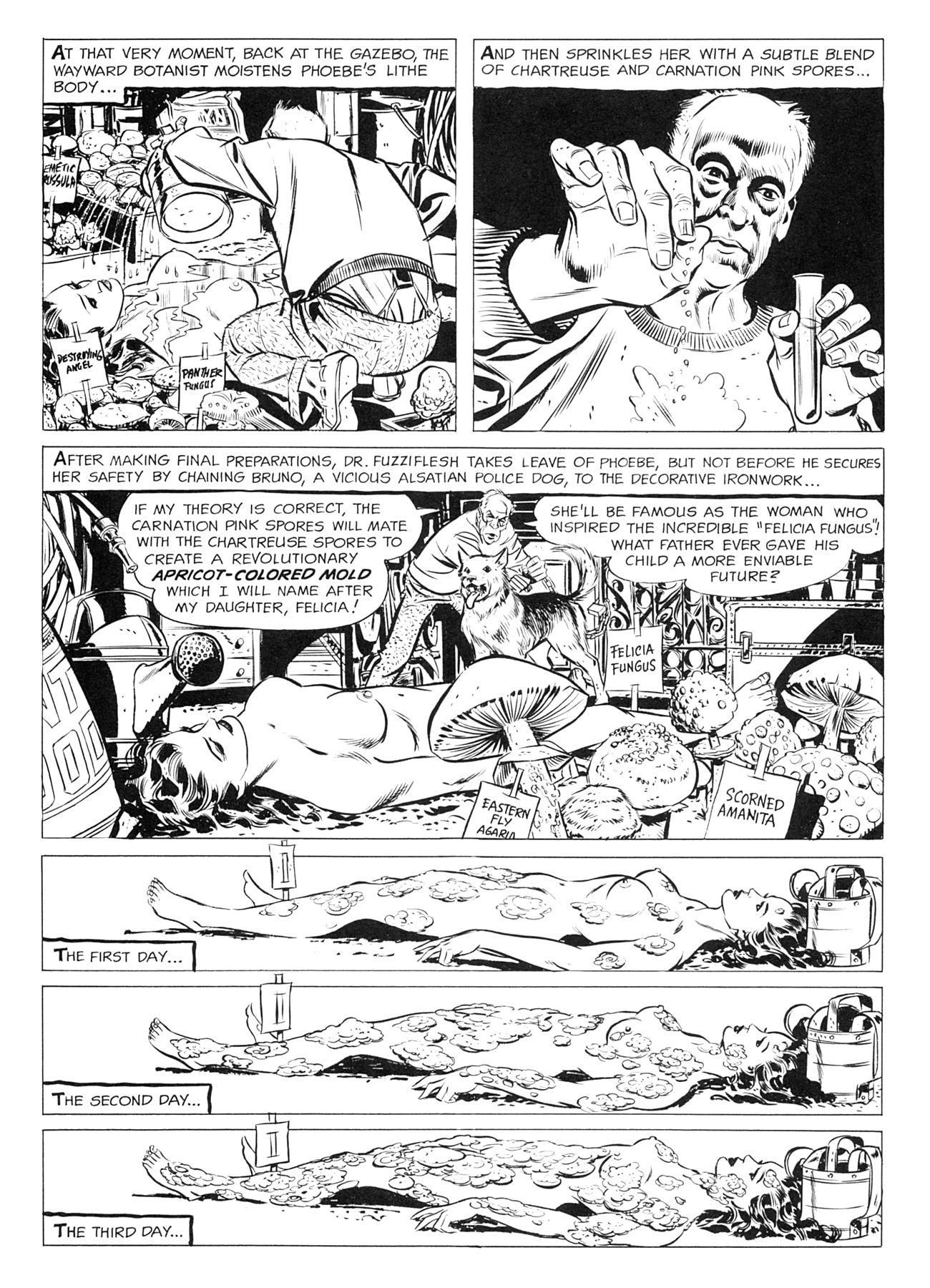 Read online The Adventures of Phoebe Zeit-Geist comic -  Issue # TPB - 38