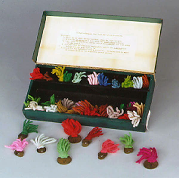 [Holmgren-Thompson-Wool-Test.jpg]